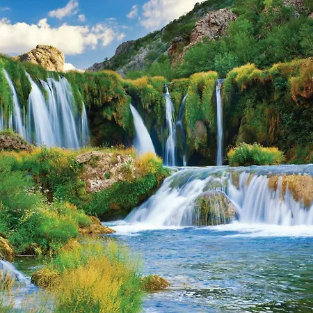 Silver Cherry Apartment